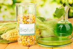 Sinfin biofuel availability