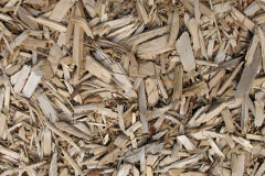 biomass boilers Sinfin
